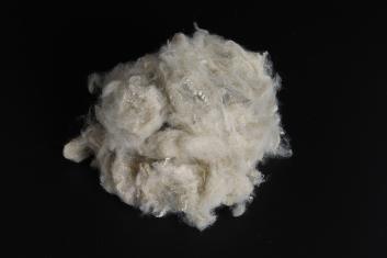 Beżowy Jednolity PSF